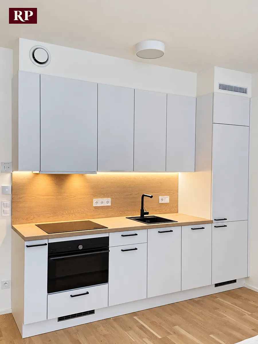 Pronájem bytu 1+kk 39 m²